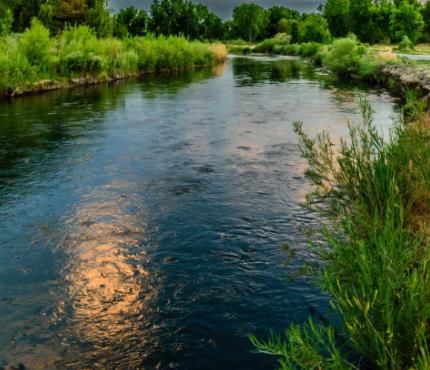 1658220636686817.jpg 16.jpg