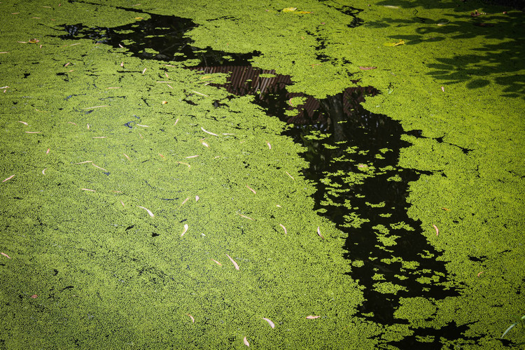 醫療污水 醫療污水